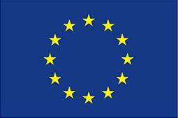 Falga Unie Europojskiej